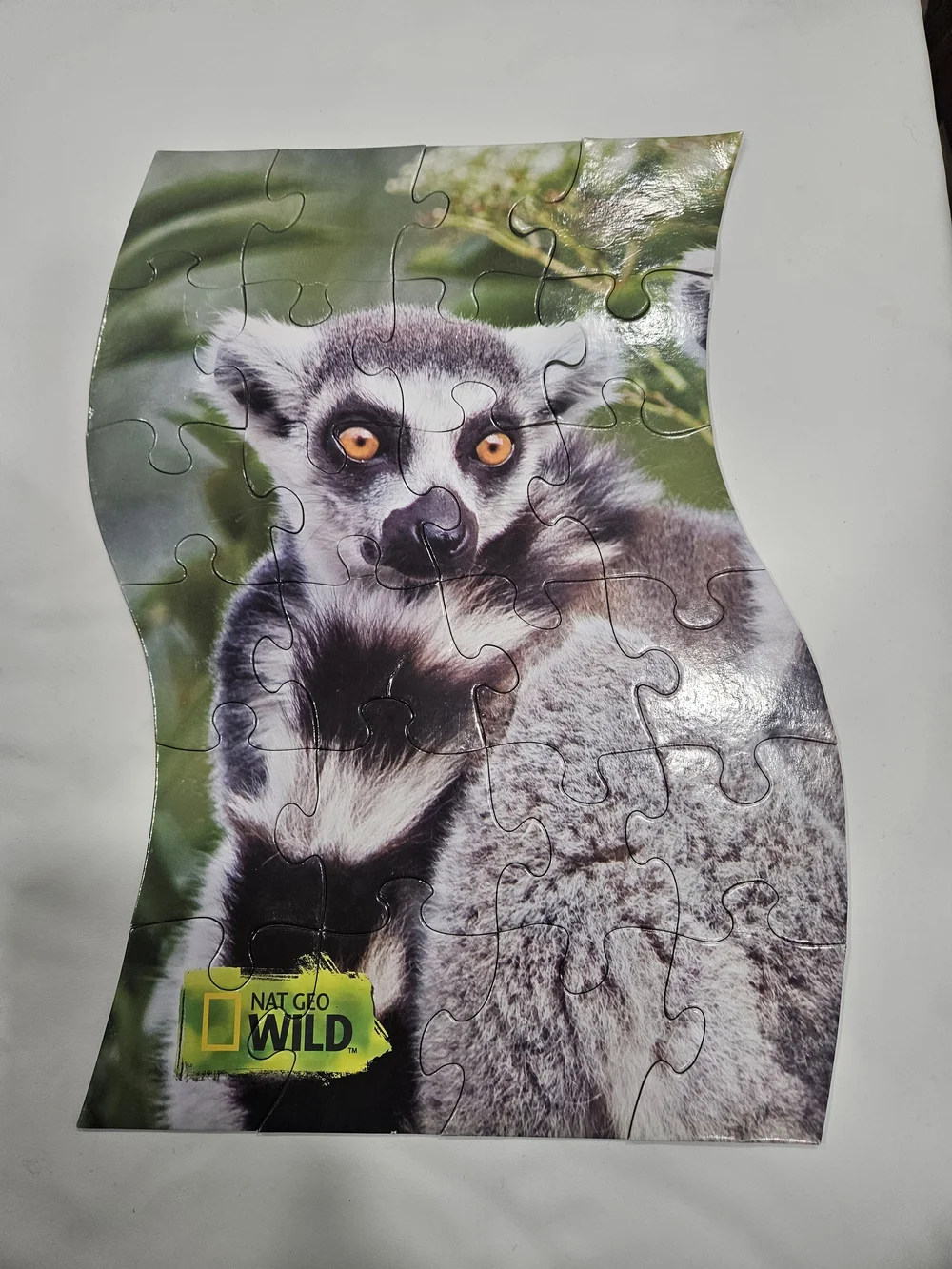 National Geographic Ring-Tailed Lemurs Puzzle Tin - Green, Black, White